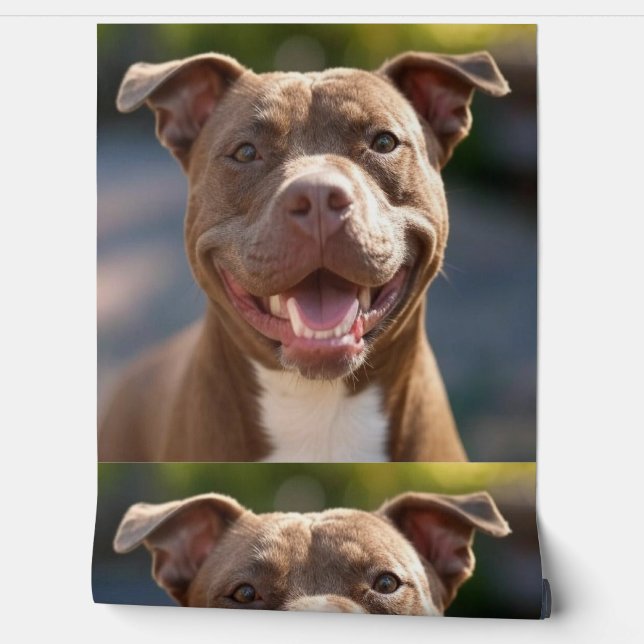 Add Pit Bull Photo Customise Wallpaper (Unrolling)