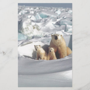 Add SLOGAN to Save Arctic Polar Bears Planet Ice