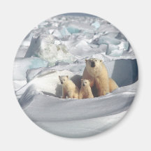 Add SLOGAN to Save Arctic Polar Bears Planet Ice