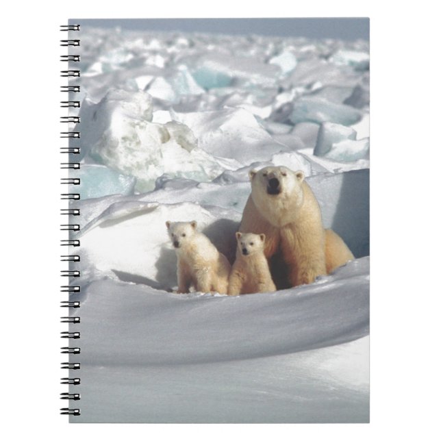 Add SLOGAN to Save Arctic Polar Bears Planet Ice Notebook (Front)