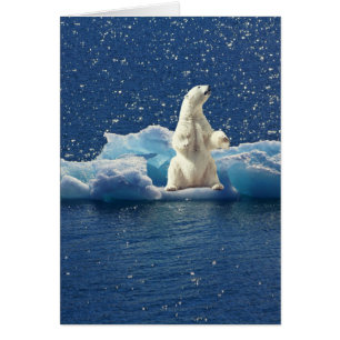 Add SLOGAN to Save Polar Bears Arctic Planet Ice