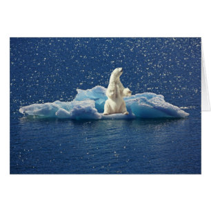 Add SLOGAN to Save Polar Bears Arctic Planet Ice