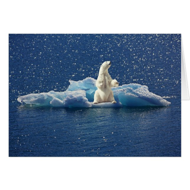 Add SLOGAN to Save Polar Bears Arctic Planet Ice (Front Horizontal)