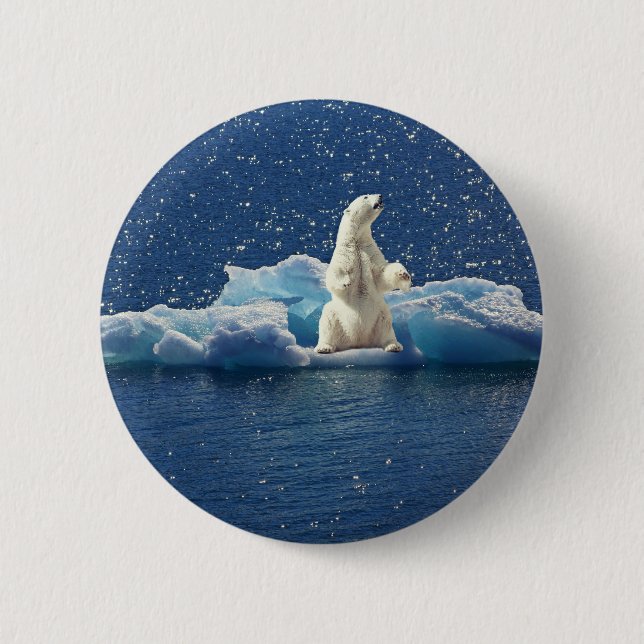 Add SLOGAN to Save Polar Bears Arctic Planet Ice 6 Cm Round Badge (Front)