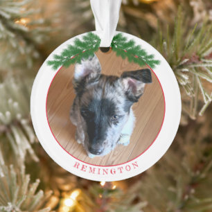 Add Your Adorable Puppy Custom Photo Ornament