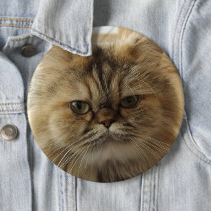 ADD YOUR CAT PHOTO CUSTOM BIG LARGE BUTTON