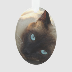 Add your Cat's Photo and name to this Cute Ornament