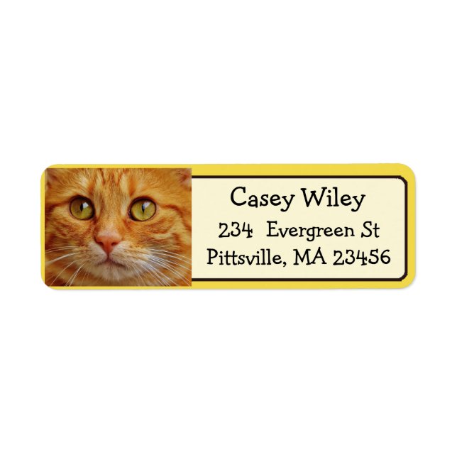 Add your Cat's Photo to this Address Label (Front)