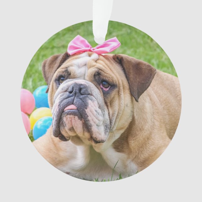 Add your Dog's Photo and name to this Cute Ornament (Front)