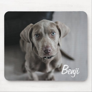 Add your Dog's Photo and name to this Mouse Mat