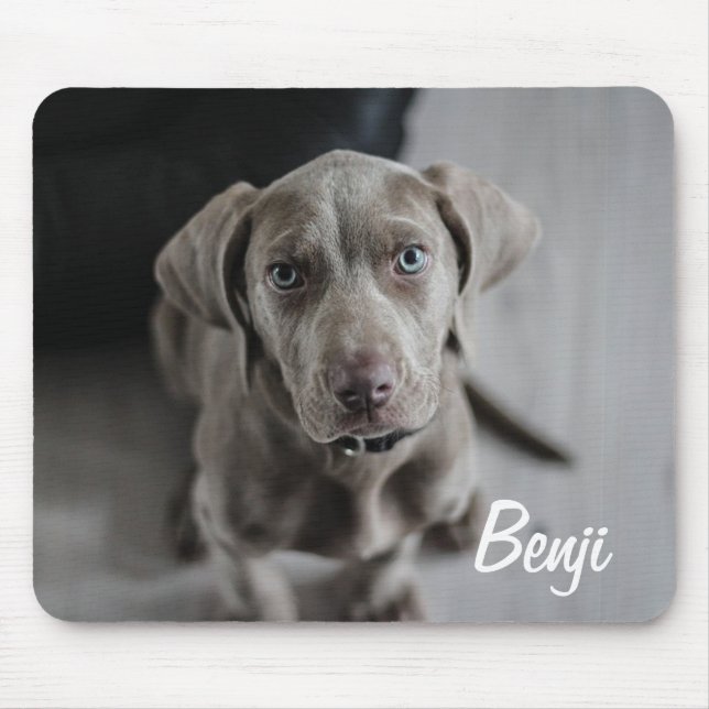 Add your Dog's Photo and name to this Mouse Mat (Front)
