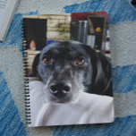 Add Your Dog's Photo to this Custom Planner<br><div class="desc">Personalised dog,  pet,  puppy photo notebook.</div>