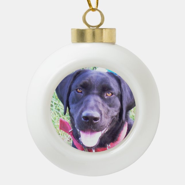 Add your favorite pet photo ornament 2020 (Front)