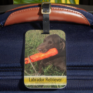 Add Your Favourite Family Pet Photo Custom Luggage Tag
