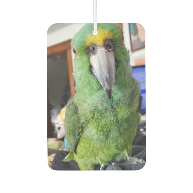 Add Your Favourite Parrot, Bird Photos to these  Car Air Freshener (Front)