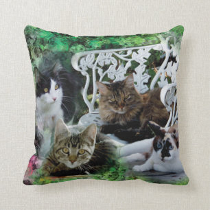 Add your favourite pet photo pillow