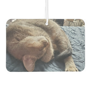 Add Your Favourite Pet Photos to these Car Air Freshener
