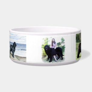 Add Your Own 6 Images Here Pet Bowl