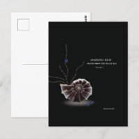 Add your own book cover book author writer promo