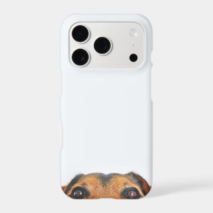 Add Your Own Dog Photo
