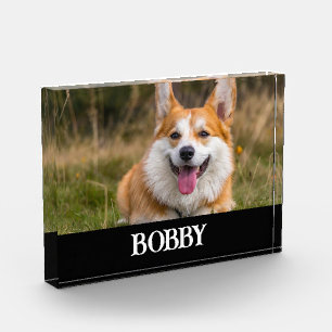 Add your own dog photo and name