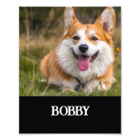 Add your own dog photo and name