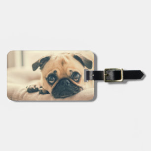 Add Your Own Dog Photo Travel funny pug Luggage Tag