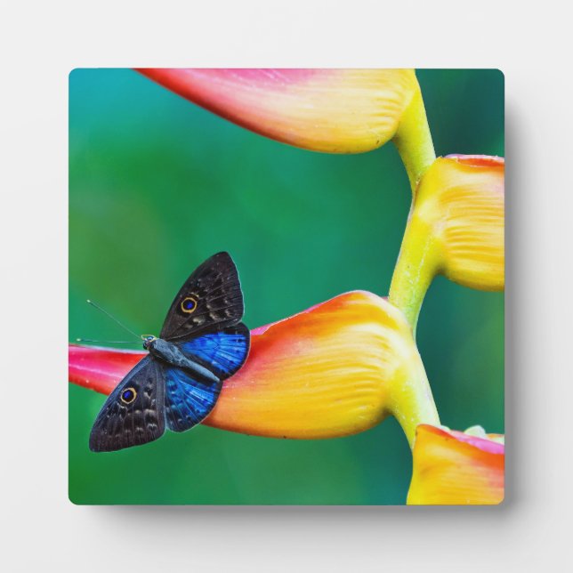 Add Your Own Image Photo Template Custom Gifts Plaque (Front)
