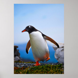 Add Your Own Image Photo Template Custom Gifts Poster