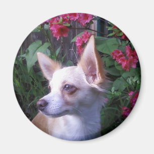 "Add Your Own Photo"    Magnet