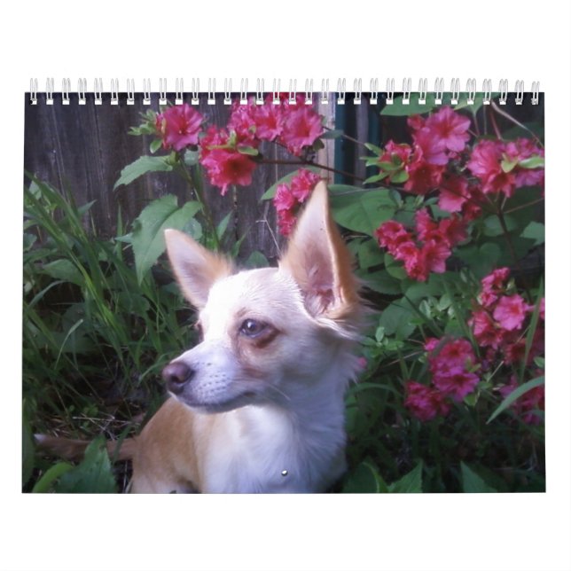 "Add Your Own Photos"    Calendar (Cover)