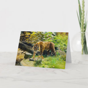 ADD YOUR OWN TEXT Tiger Card