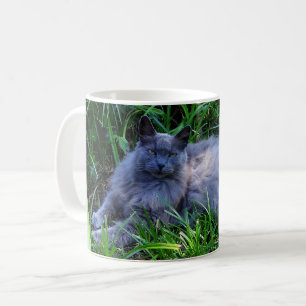 Add Your Pet Cat Photo Coffee Mug