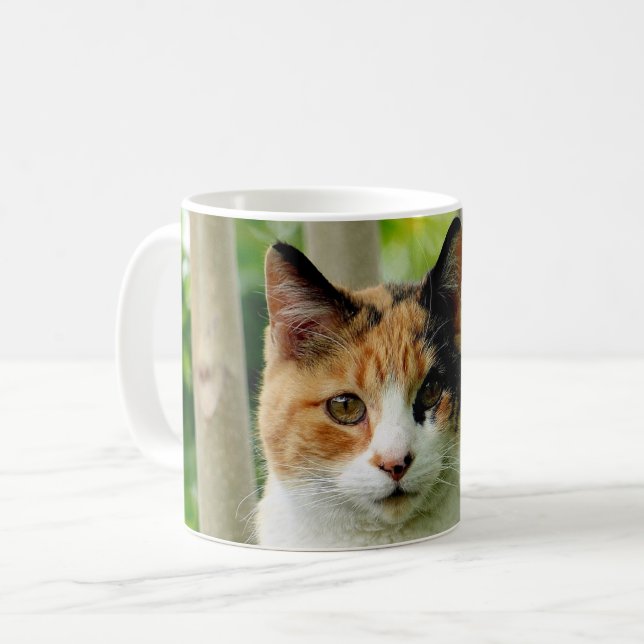 Add Your Pet Cat Photo to Coffee Mug (Front Left)