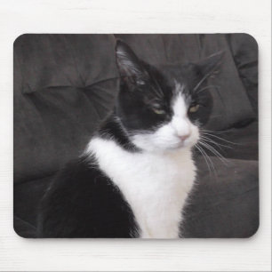 Add your pet's photo to this cute mouse mat