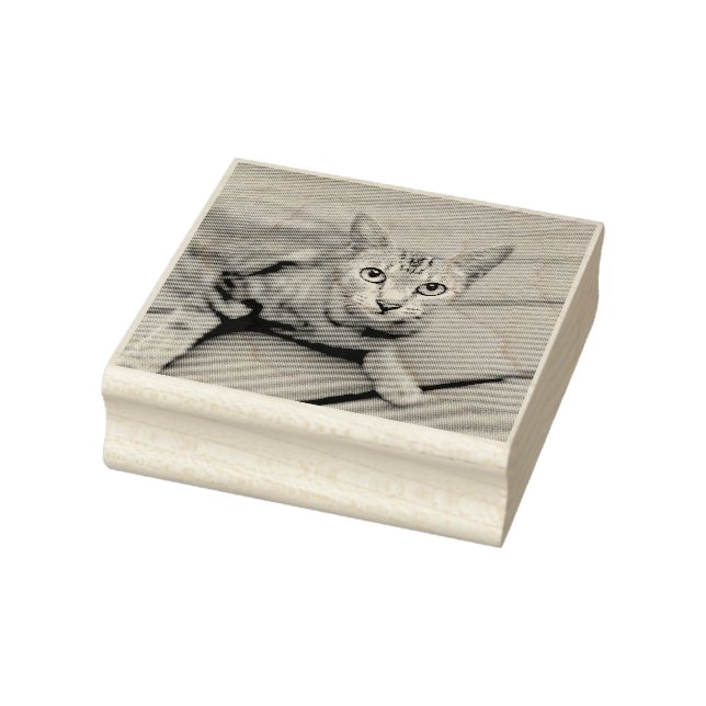 ADD YOUR PHOTO CAT PET CUSTOMIZED RUBBER STAMP (Stamp)