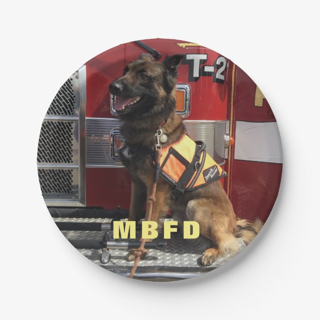 Add Your Photo Fireman's Celebration Paper Plate (Front)