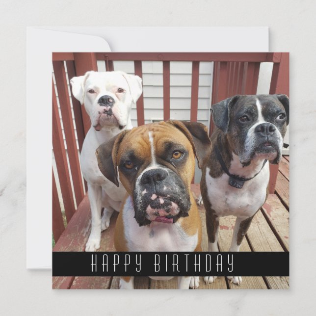 Add Your Photo | Happy Birthday From Dogs Announcement (Front)