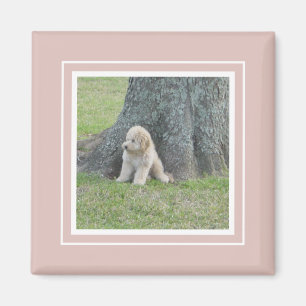 Add Your Photo to Modern Farmhouse Pink & White Magnet