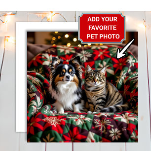 Add Your Photo to this Christmas Holiday Card