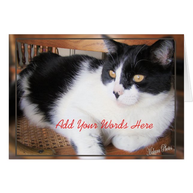 Add Your Words-front and inside (Front Horizontal)