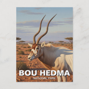 Addax Antelope in Bou Hedma National Park Tunisia Postcard