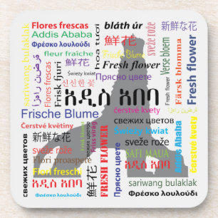 Addis Ababa Coaster