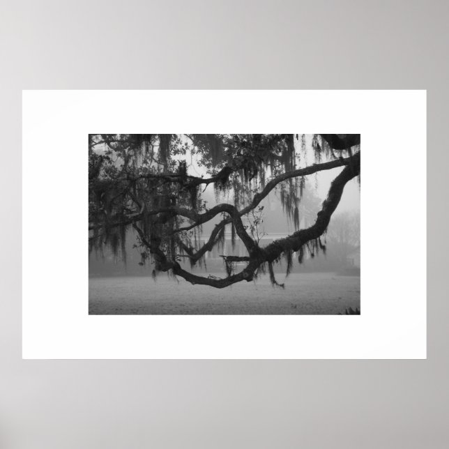 Addis House Poster (Front)