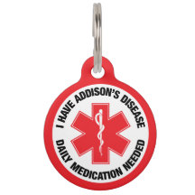 Addison's Disease Medical Alert Pet Tag