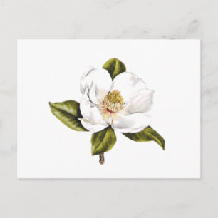 Address Change Postcards - set of 25