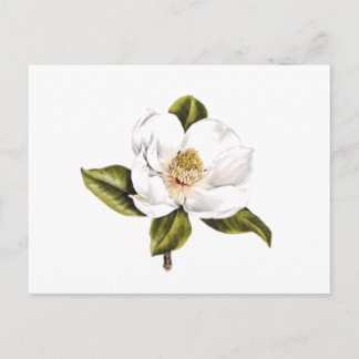 Address Change Postcards - set of 25