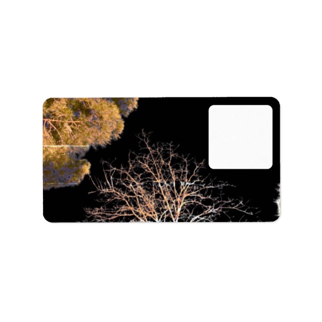 Address Label style design (Front)
