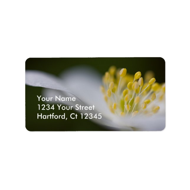 Address Label Wood Anemone (Front)
