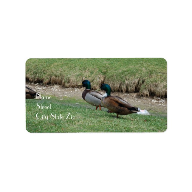 Address Labels  2 Ducks (Front)